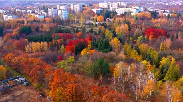 Autumn landscape. Arboretum them. Dokuchaev. 4K aerial photography.