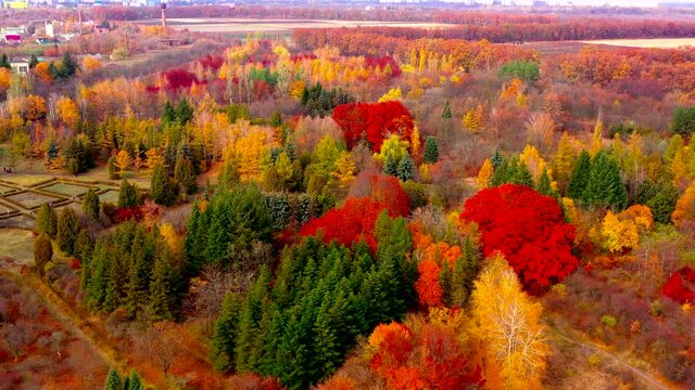 Autumn landscape. Arboretum them. Dokuchaev. 4K aerial photography.
