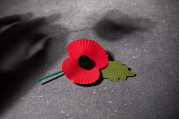 World War remembrance day. Red poppy is symbol of remembrance to those fallen in war. Red poppies on dark stone background
