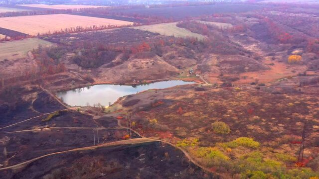 Autumn landscape. Arboretum them. Dokuchaev. 4K aerial photography.