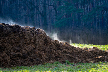 A pile of cow dung as a symbol of methane pollution of the atmosphere. The strongest greenhouse gas...