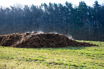 A pile of cow dung as a symbol of methane pollution of the atmosphere. The strongest greenhouse gas leading to climate change - obrazy, fototapety, plakaty