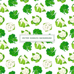 Seamless pattern with cabbage on a white background. The Broccoli and Cauliflower. Vector illustration of fresh vegetables in cartoon simple flat style.
