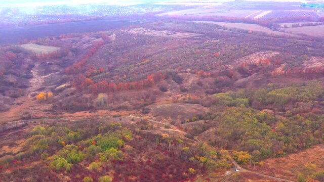 Autumn landscape. Arboretum them. Dokuchaev. 4K aerial photography.
