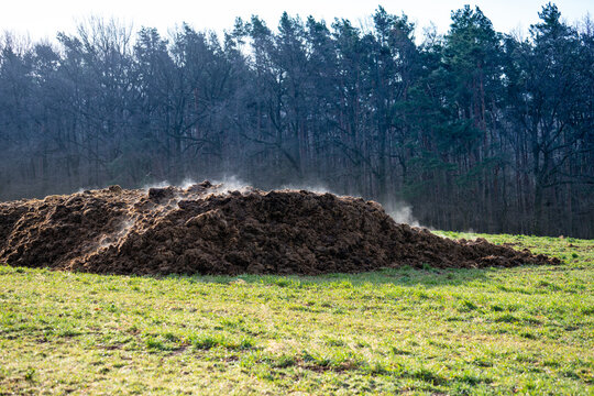 A pile of cow dung as a symbol of methane pollution of the atmosphere. The strongest greenhouse gas leading to climate change