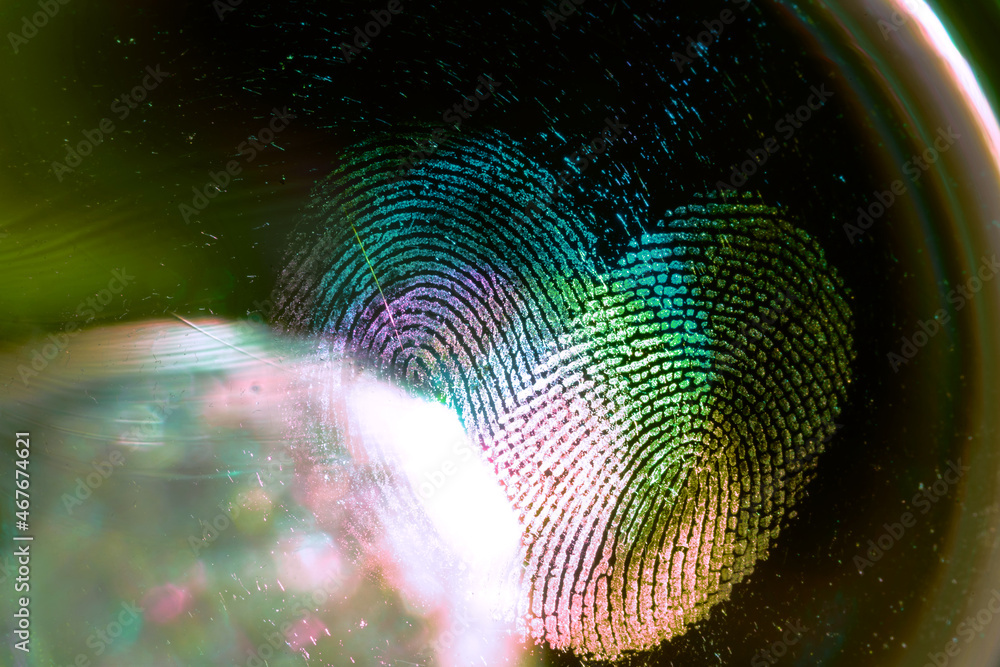 Leinwandbilder beautiful abstract multicoloured fingerprint on background texture for design. macro photography vie