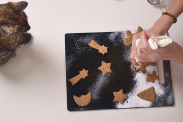 making gingerbread cookies