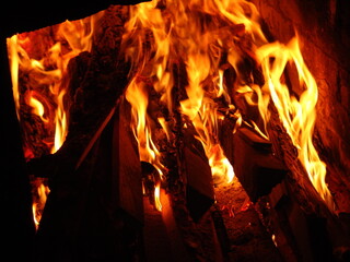 Fire bonfire.