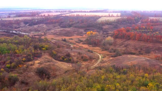 Autumn landscape. Arboretum them. Dokuchaev. 4K aerial photography.