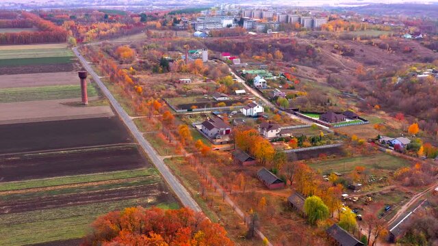 Autumn landscape. Arboretum them. Dokuchaev. 4K aerial photography.
