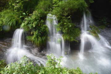 涼しそうな滝が流れている美しい渓谷の風景