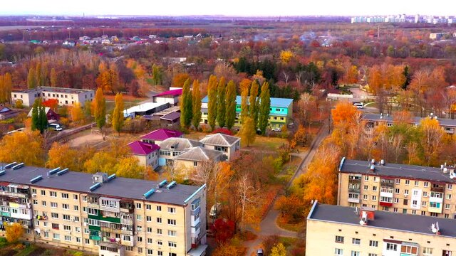 Autumn landscape. Arboretum them. Dokuchaev. 4K aerial photography.