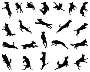 Black silhouettes of jumping dogs,  on a white background