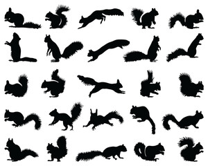 Black silhouettes of squirrels  on a white background - obrazy, fototapety, plakaty