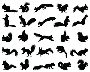 Fotobehang Black silhouettes of squirrels  on a white background © Design Studio RM