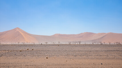 Panoramic view of a sandstorm in Sossusvlei, Namibia.