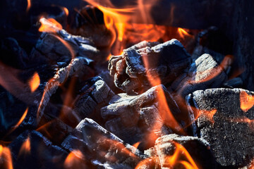 A controlled campfire with burning coals outside on a warm summer day.