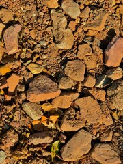 dry cracked ground