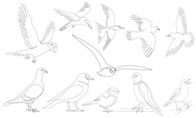 set of birds sketch isolated, vector