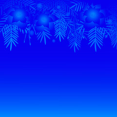 Winter vector blue background with Christmas tree branches and flowers. 
