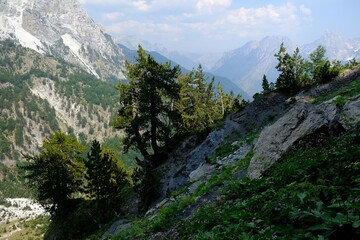 Beautiful mountain view with pines on trail from Theth Valley to Valbona Valley in Albanian Alps. It is one of the most beautiful high mountain trails.