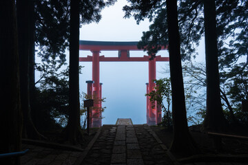 箱根神社 平和の鳥居