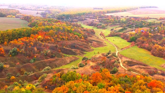Autumn landscape. Arboretum them. Dokuchaev. 4K aerial photography.