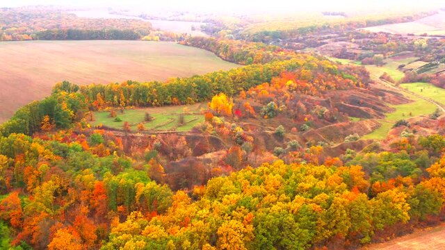 Autumn landscape. Arboretum them. Dokuchaev. 4K aerial photography.
