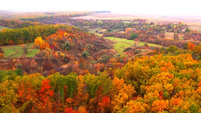 Autumn landscape. Arboretum them. Dokuchaev. 4K aerial photography.
