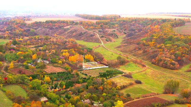 Autumn landscape. Arboretum them. Dokuchaev. 4K aerial photography.