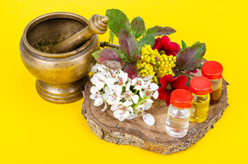 Use of medicinal plants in alternative medicine. Studio Photo
