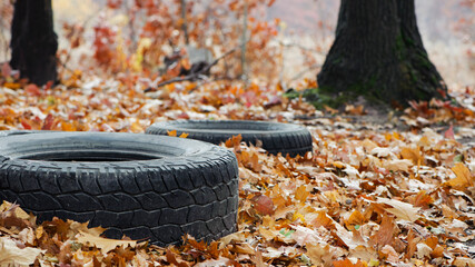 garbage from a heap of black old car tires among the trees in nature. environmental pollution....