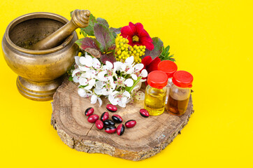 Use of medicinal plants in alternative medicine. Studio Photo