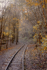 Naklejka na ściany i meble railway in the mountains in forest