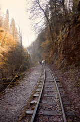 Obraz premium railway in the mountains in forest