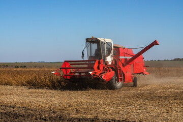 Obraz premium Red combine harvesting a crop of soybeans