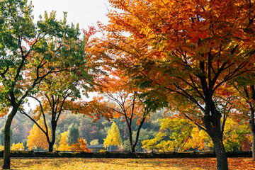 Autumn of West Seoul Lake Park in Seoul, Korea