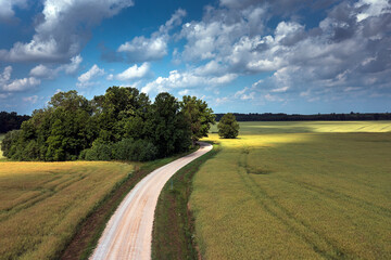 Fields and clouds in summer afternoon.