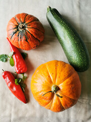 Two pumpkins, zucchini, mint and red sweet pepper lie on a light fabric.