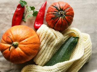 Two pumpkins, zucchini in a knitted fabric, mint and red sweet pepper lie on a light fabric.