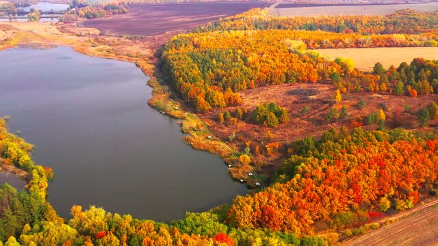 Autumn landscape. Arboretum them. Dokuchaev. 4K aerial photography.