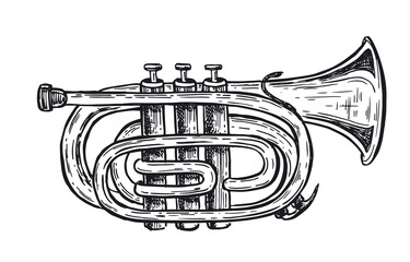 Obraz premium Trumpet, musical instruments, hand drawn illustration. Vector.