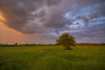 Obraz premium clouds over the field