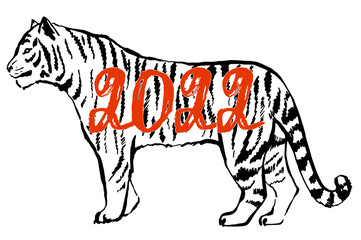 Year of the tiger. Chinese new year 2022 year of the tiger. Ink drawing. Vector illustration