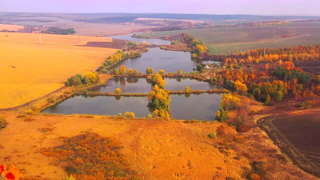 Autumn landscape. Arboretum them. Dokuchaev. 4K aerial photography.