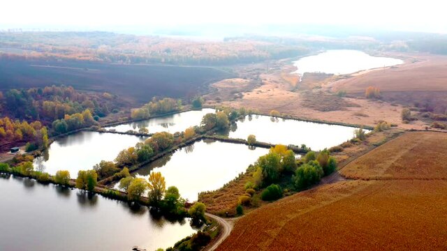 Autumn landscape. Arboretum them. Dokuchaev. 4K aerial photography.