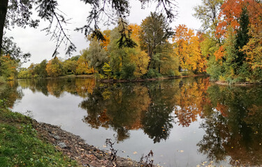 Autumn in the park. Trees with bright, already falling leaves are reflected in the pond water.