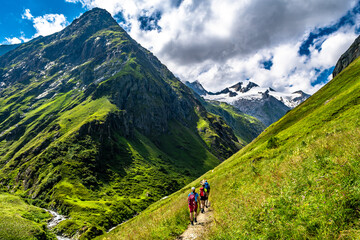 Hiking Group In Valley Of Umbalfaelle On Grossvenediger With View To Mountain Roetspitze In Nationalpark Hohe Tauern In Tirol In Austria - obrazy, fototapety, plakaty