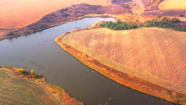 Autumn landscape. Arboretum them. Dokuchaev. 4K aerial photography.