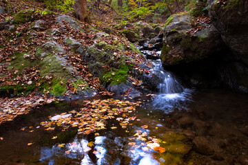 Creak runs through the forest of Mt. Mitake, Japan in autumn.